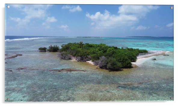 Drone view of paradise islands of the Maldives with coral reefs  Acrylic by Michael Piepgras