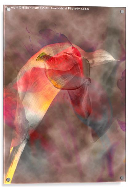 3 Cala Lilies Acrylic by Gilbert Hurree