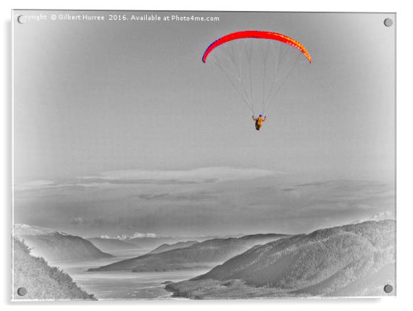 Enthralling Alaskan Paragliding Adventure Acrylic by Gilbert Hurree