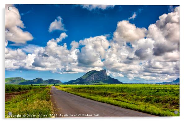 Corps De Guard Mountain, Mauritius Acrylic by Gilbert Hurree