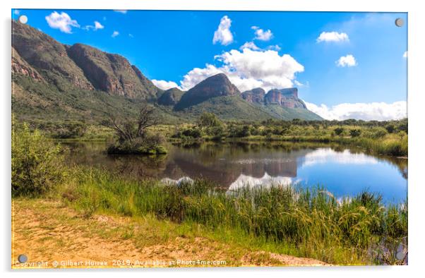 Tranquil Waters of Entabeni Reserve Acrylic by Gilbert Hurree