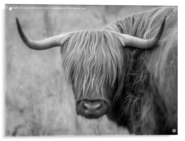 Highland Cow Acrylic by Laura Simons