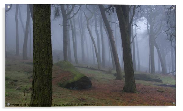 Misty woodland Buxton  Acrylic by Chris Mobberley