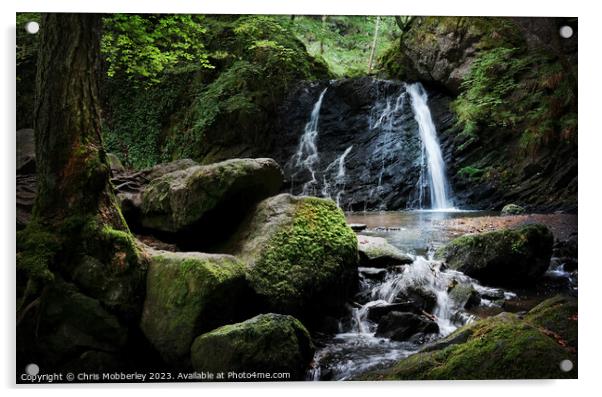 Waterfall at Fairy Glen Rosemarkie   Acrylic by Chris Mobberley