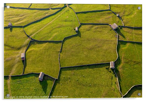 Swaledale Fields and Barns Acrylic by Chris Gurton