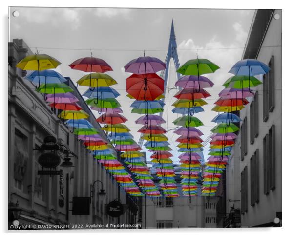 Pride Umbrellas Cardiff Acrylic by DAVID KNIGHT