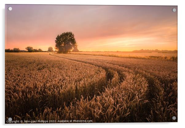 Wheatfield at sunset Acrylic by John-paul Phillippe