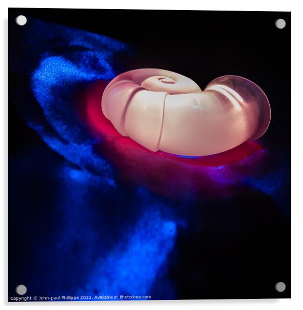 Illuminated Shell Acrylic by John-paul Phillippe