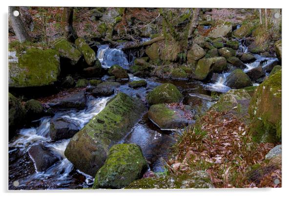 Padley Gorge Acrylic by Horace Goodenough