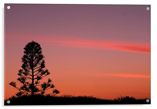australian sunset Acrylic by sam mitchell