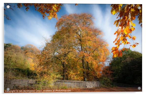 Autumn Acrylic by Ian Scrimgeour