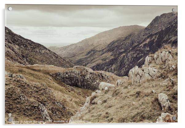 Snowdonia Valley Pyg Track Acrylic by Adrian Burgess
