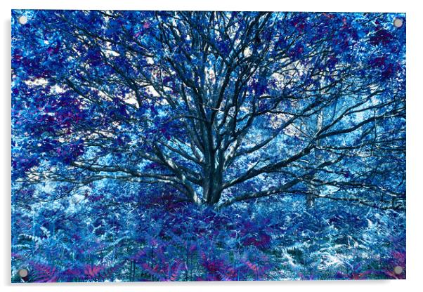 Grand Tree - Blue Acrylic by Adrian Burgess
