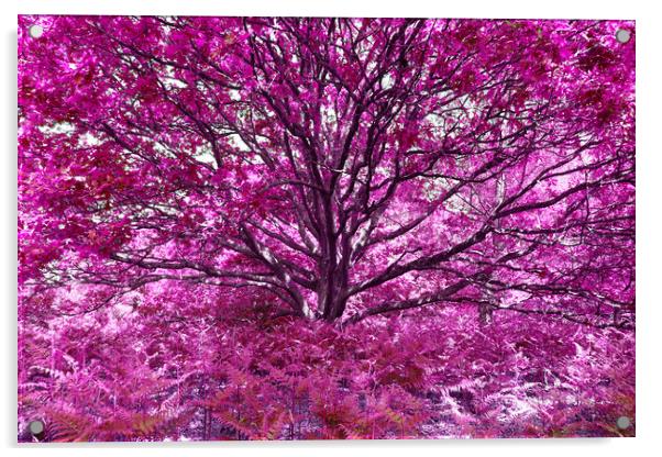 Grand Tree - Pink Acrylic by Adrian Burgess