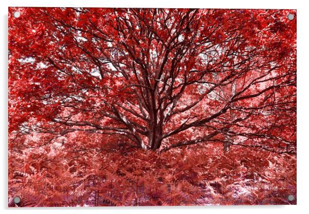 Grand Tree - Red Acrylic by Adrian Burgess