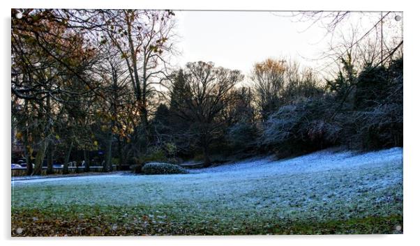 Frosty Landscape Acrylic by Richard Fairbairn