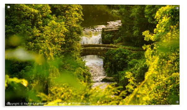 Jesmond Dene Acrylic by Richard Fairbairn