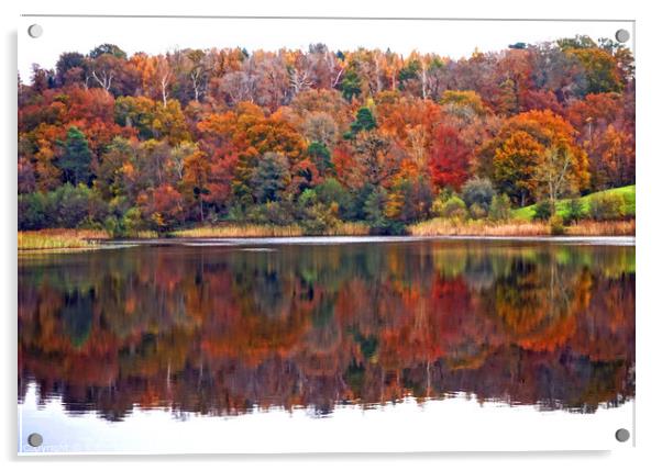 Autumn Reflections Acrylic by Robin Clarke
