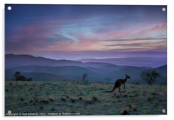 Kangaroo Sunset Acrylic by Neil Edwards