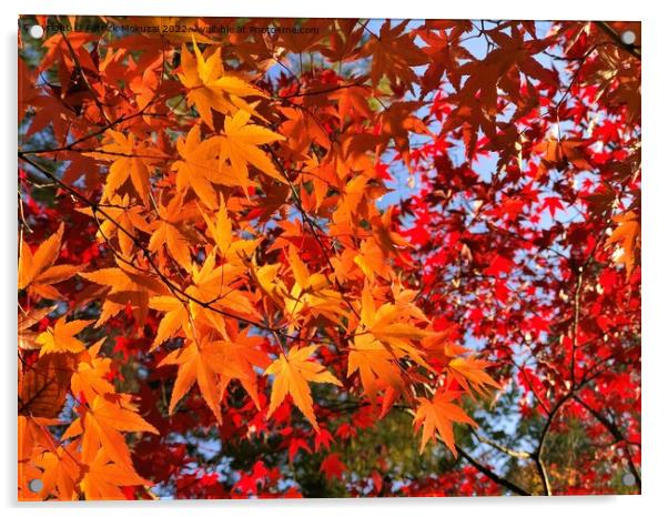 Autumn Leaves in Japan Acrylic by Patrick Mokuzai