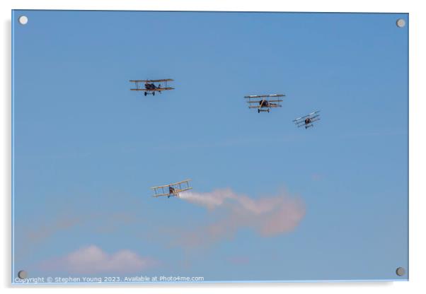Vintage Biplanes and Triplanes Acrylic by Stephen Young