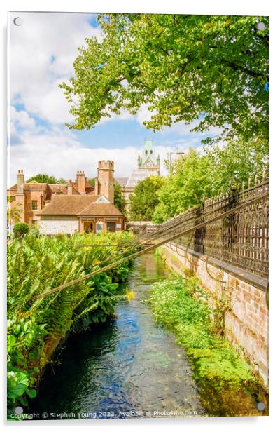 Abbey Gardens Winchester Acrylic by Stephen Young