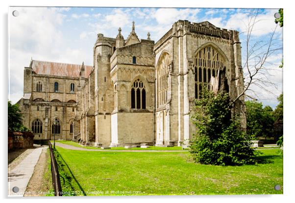 Winchester Cathedral Acrylic by Stephen Young