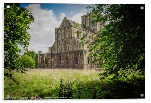 Winchester Cathedral Acrylic by Stephen Young