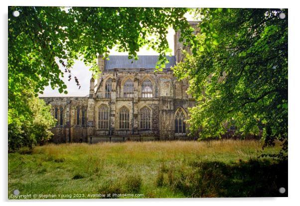 Winchester Cathedral Acrylic by Stephen Young