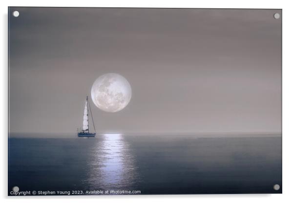Moonlight Shadow Acrylic by Stephen Young
