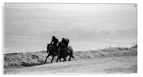 Race Horse Training Watership Down Acrylic by Stephen Young