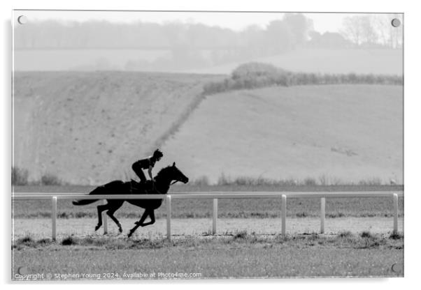 Horse and Rider Galloping Acrylic by Stephen Young