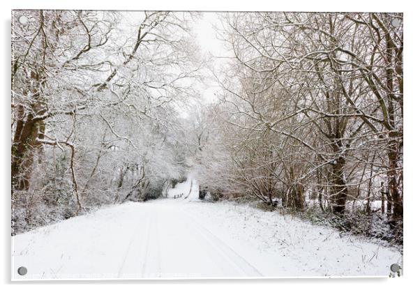 Countryside Winter Acrylic by Stephen Young