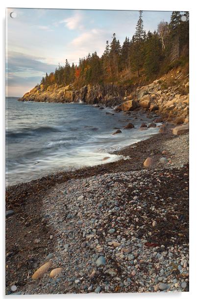 Hunters Beach, Maine Acrylic by David Roossien