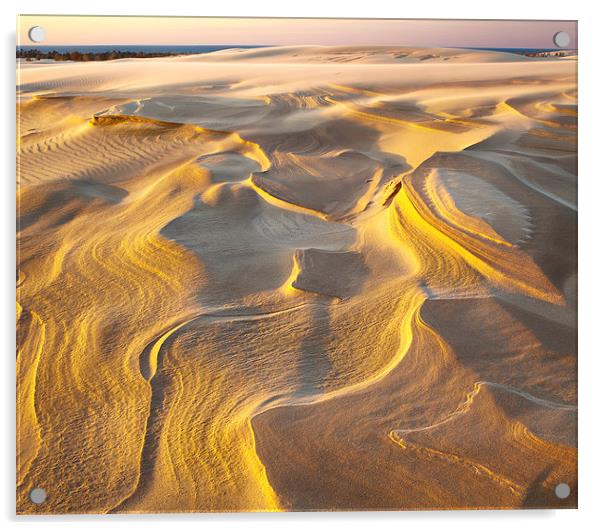 Eroded Lake Michigan Dune Acrylic by David Roossien