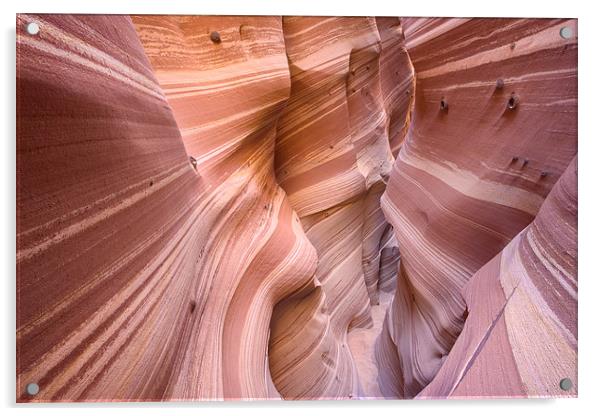 Zebra Slot Canyon, Escalante, Utah Acrylic by David Roossien