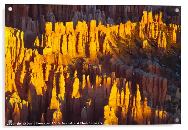 Silent City, Bryce Canyon National Park Acrylic by David Roossien