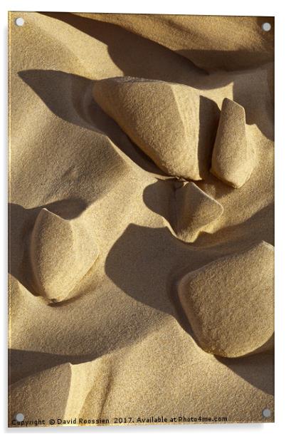 Sand Tips and Shadows, Lake Michigan Shoreline, US Acrylic by David Roossien