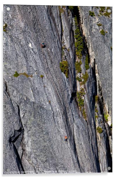 Aerial male rock climber cliff face Squamish Canada Acrylic by Spotmatik 