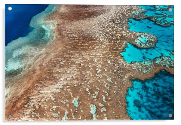 Aerial Australia Great Barrier Reef Queensland South Pacific  Acrylic by Spotmatik 