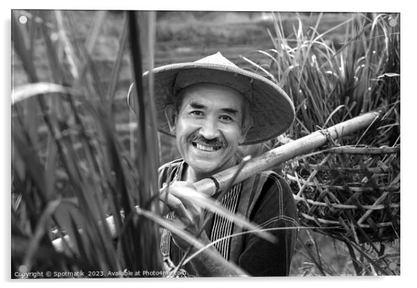 Portrait Bali man collecting rice plants bamboo baskets  Acrylic by Spotmatik 