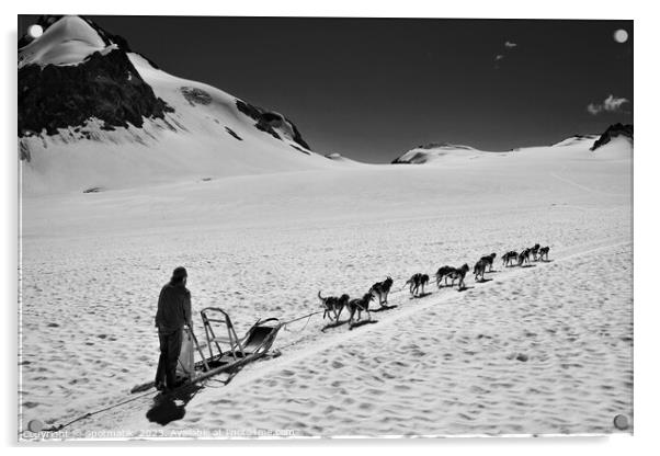 Aerial view tourist sledging tours Chugach Mountains Alaska Acrylic by Spotmatik 