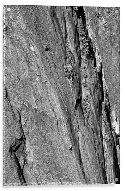 Aerial male rock climber cliff face Squamish Canada Acrylic by Spotmatik 