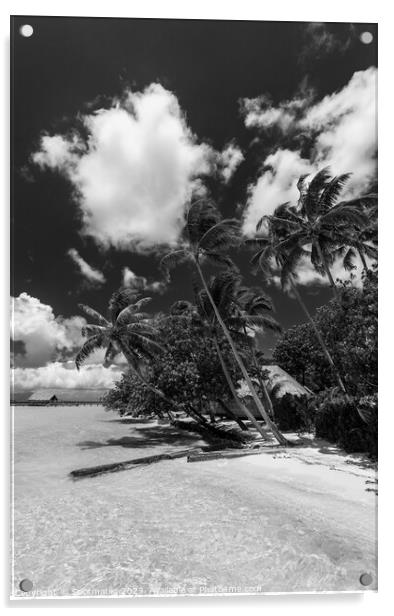 Bora Bora Palm trees tropical luxury vacation resort Acrylic by Spotmatik 