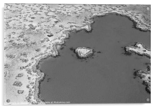 Aerial Great Barrier Reef in tropical Queensland Australia  Acrylic by Spotmatik 