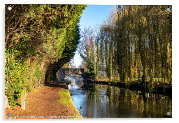 Bridge over Trent & Mersey canal in Cheshire UK Acrylic by Chris Brink