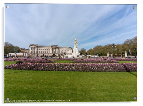 Buckingham Palace Grounds Acrylic by Benjamin Brewty