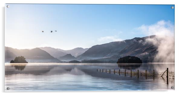 Derwent Water in Winter with geese flying over head Acrylic by Julian Carnell