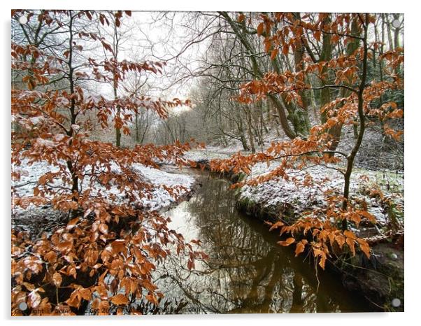 River Irk in the Snow Acrylic by Gemma De Cet