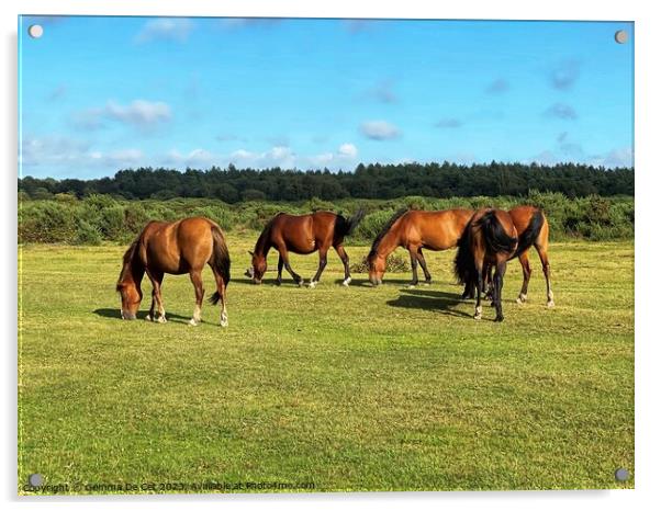 Wild ponies in The New Forest Acrylic by Gemma De Cet